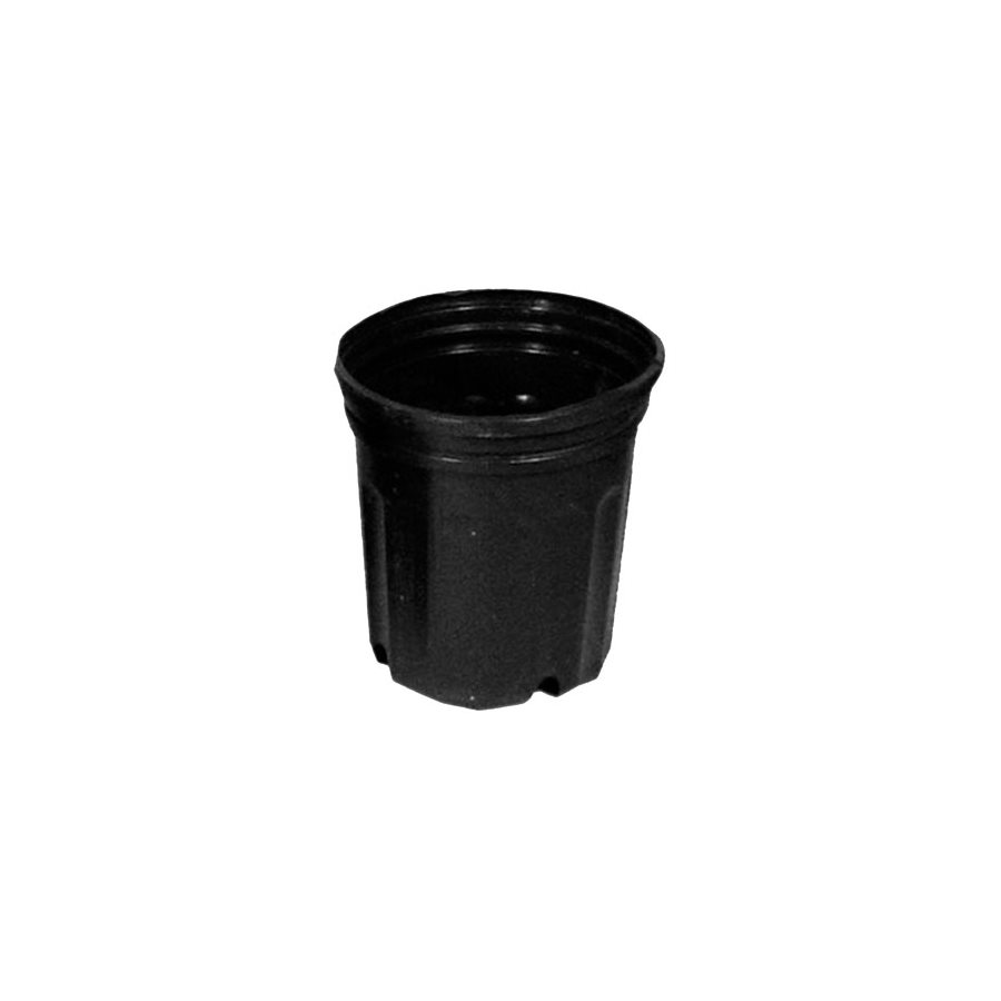 NURSERY POT 600 6L (2 G) / 8.5" x 8.5" (MIN QTY 60)